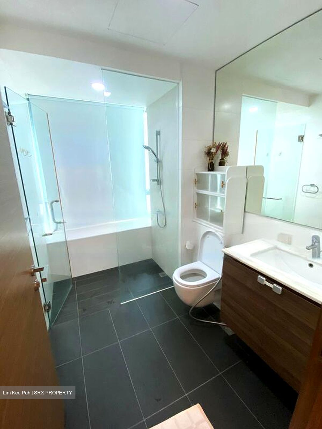 Double Bay Residences (D18), Condominium #466092351